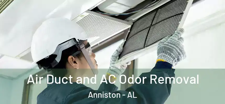  Air Duct and AC Odor Removal Anniston - AL