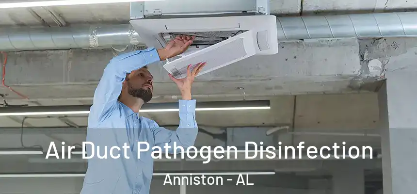  Air Duct Pathogen Disinfection Anniston - AL