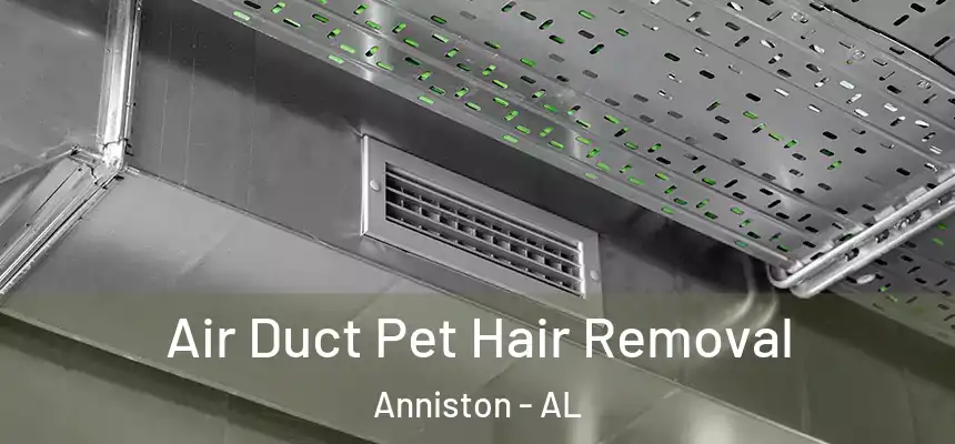  Air Duct Pet Hair Removal Anniston - AL