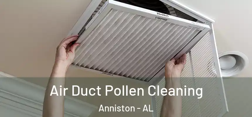 Air Duct Pollen Cleaning Anniston - AL
