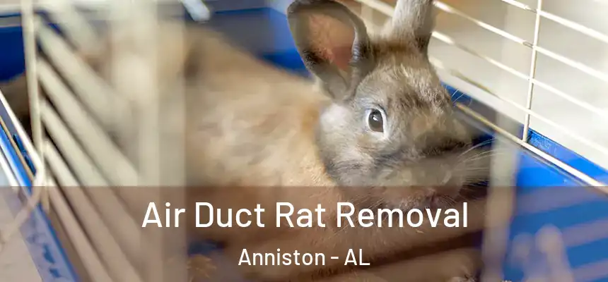 Air Duct Rat Removal Anniston - AL
