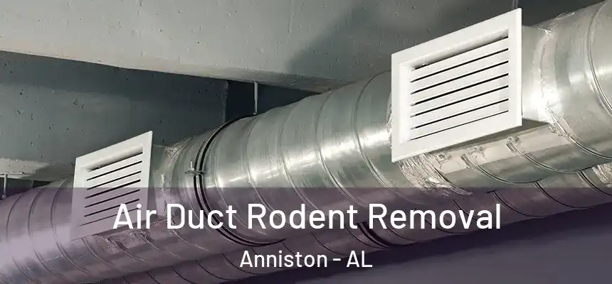  Air Duct Rodent Removal Anniston - AL