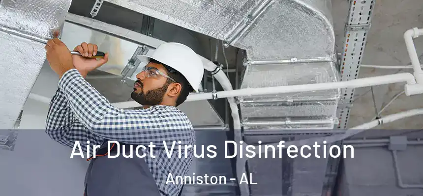  Air Duct Virus Disinfection Anniston - AL