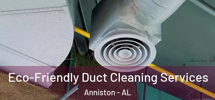 Eco-Friendly Duct Cleaning Services Anniston - AL