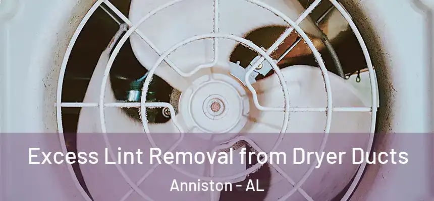  Excess Lint Removal from Dryer Ducts Anniston - AL
