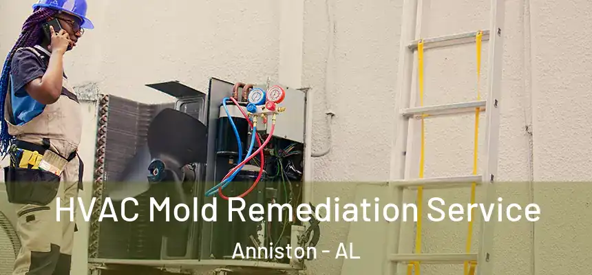 HVAC Mold Remediation Service Anniston - AL