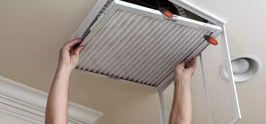 Preventive Cockroach-Proofing for Ducts in Anniston