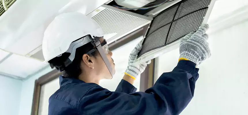 Our Mold & Mildew Removal from Air Ducts Services in Anniston, AL