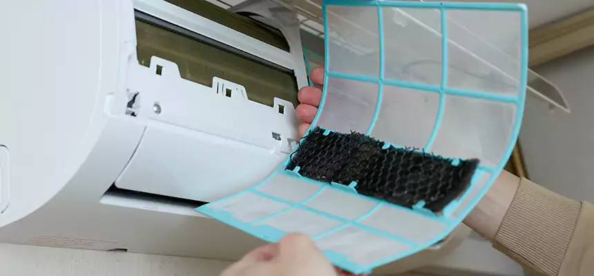 Gentle Ductwork Odor-Control Pet Dander Duct Cleaning in Anniston, AL