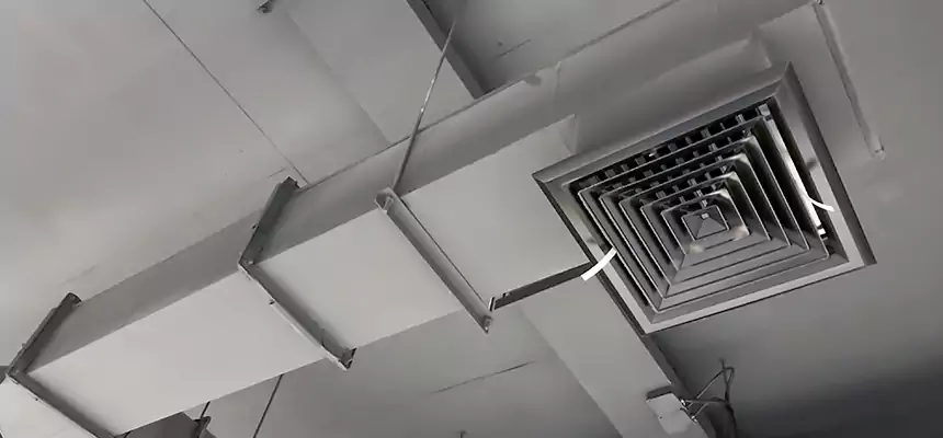 Our Rodent Droppings In Vents Services in Anniston, AL