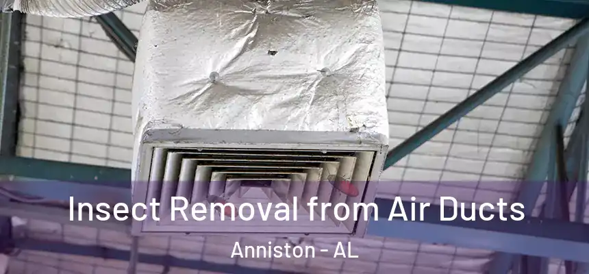  Insect Removal from Air Ducts Anniston - AL