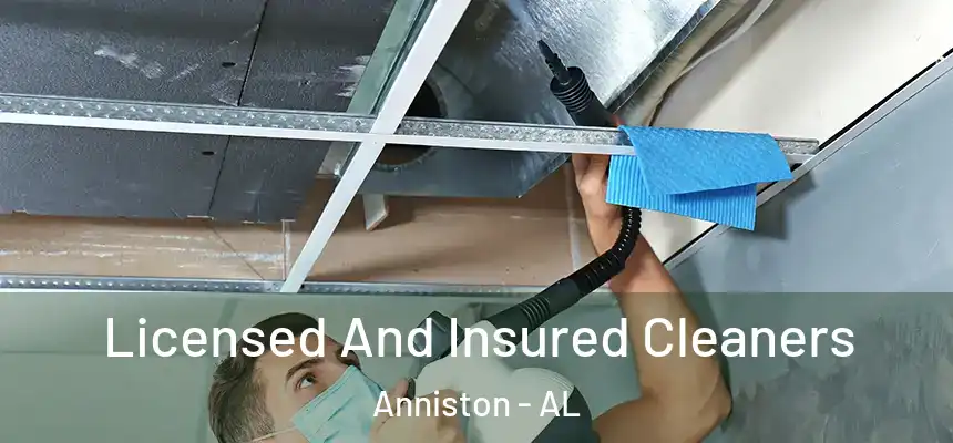 Licensed And Insured Cleaners Anniston - AL