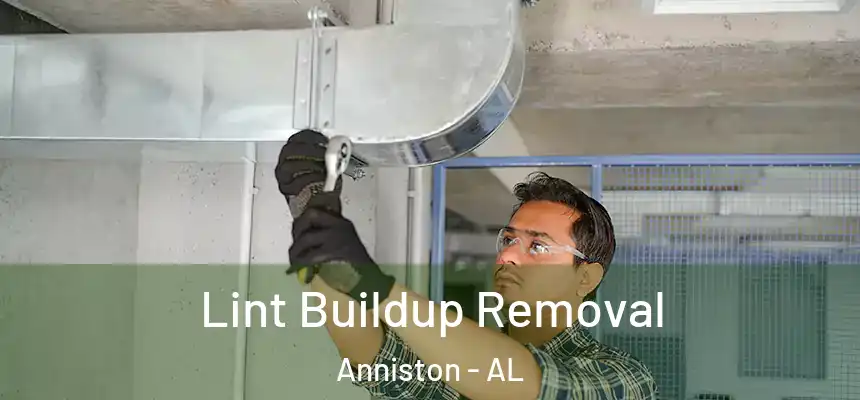  Lint Buildup Removal Anniston - AL