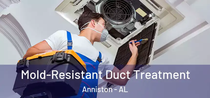 Mold-Resistant Duct Treatment Anniston - AL