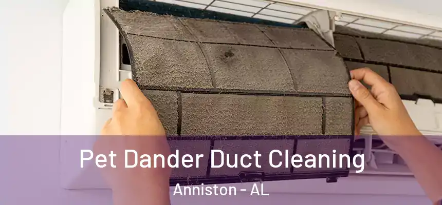  Pet Dander Duct Cleaning Anniston - AL