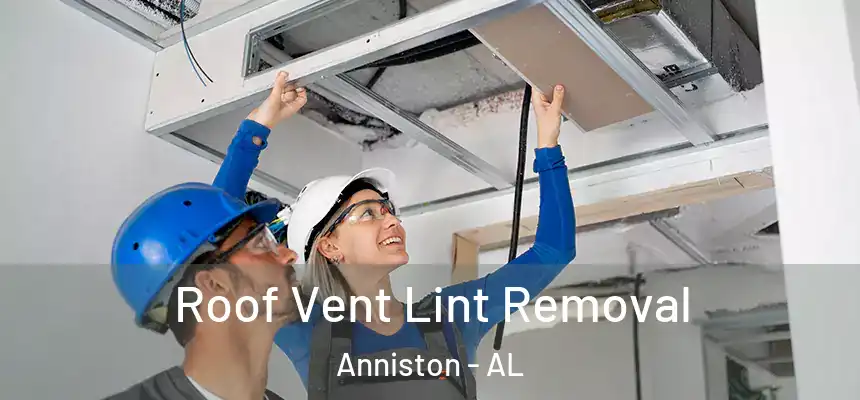 Roof Vent Lint Removal Anniston - AL