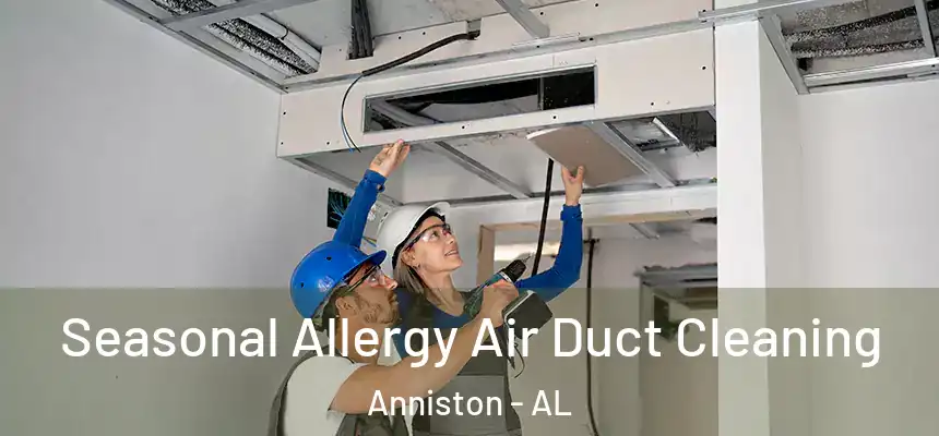  Seasonal Allergy Air Duct Cleaning Anniston - AL