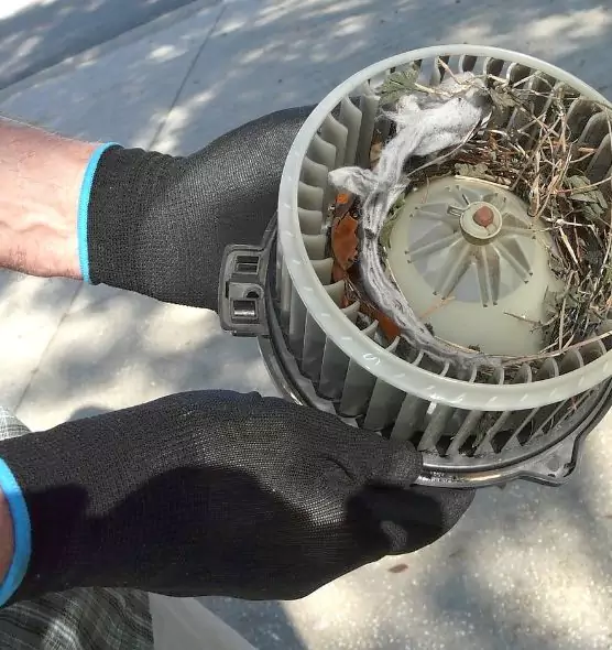 About Air Duct Mice Removal in Anniston, AL