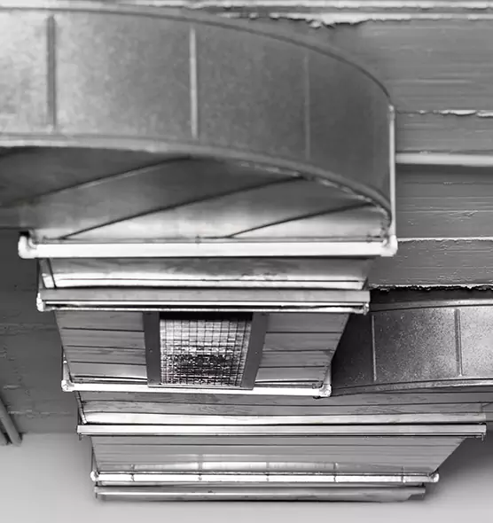 Professional Air Duct Pest Removal in Anniston, AL