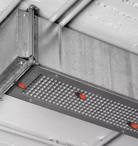 Affordable Insect Removal from Air Ducts in Anniston, AL