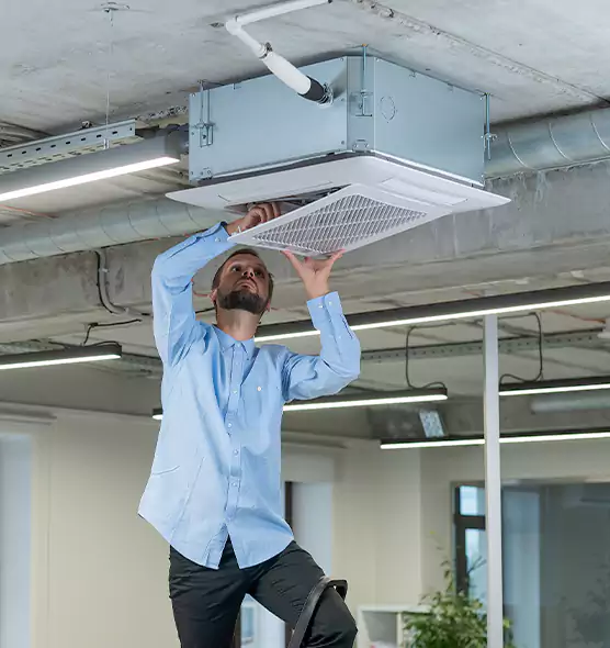 Advanced Rodent Droppings In Vents in Anniston, AL