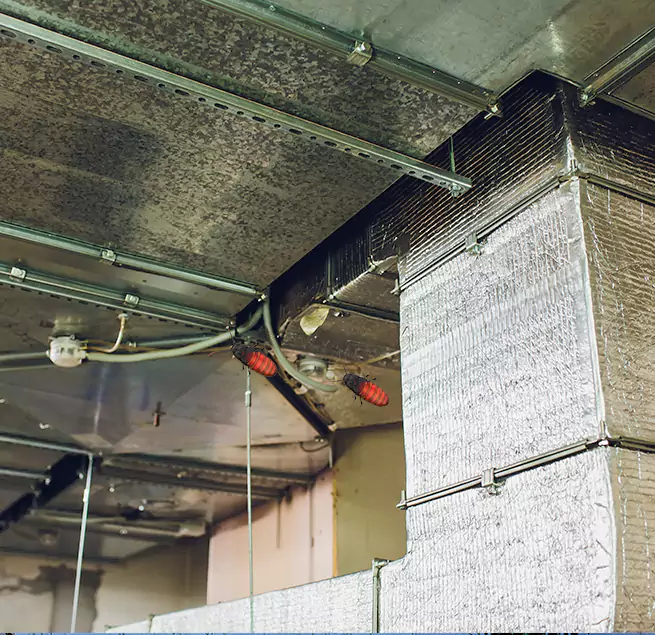 Why Homeowners & Businesses Trust Us in Anniston, AL?