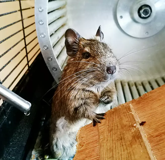 Why Homeowners & Businesses Trust Us Anniston, AL