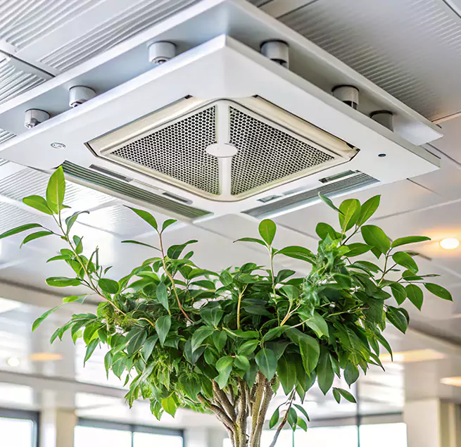 Why Homeowners & Businesses Trust Us in Anniston, AL?