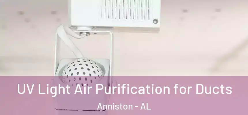  UV Light Air Purification for Ducts Anniston - AL